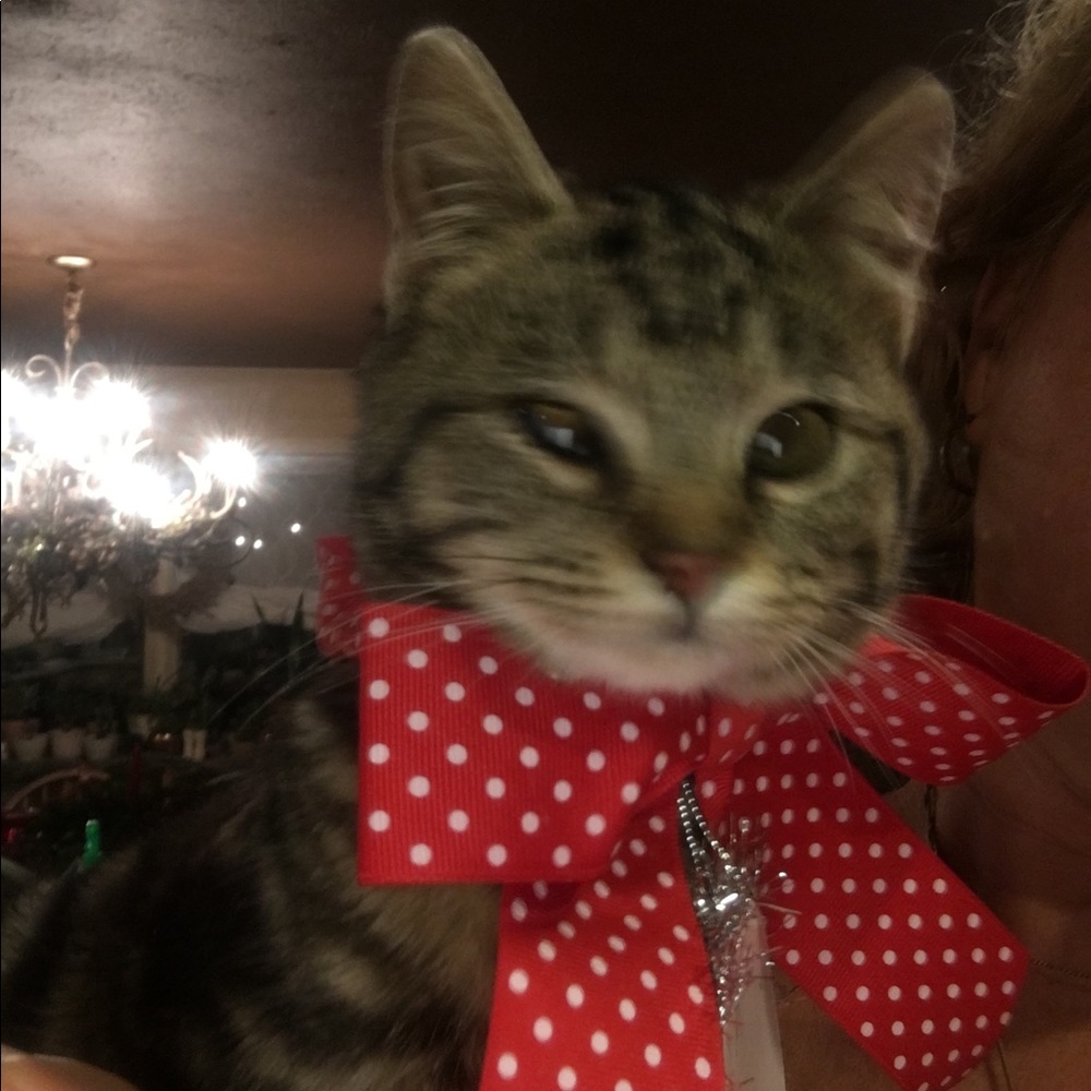 Meet your Posher, Denise